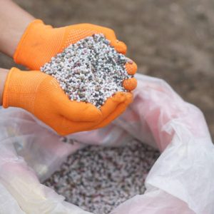 Inorganic (Chemical) Fertilizers