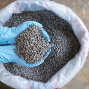 Phosphorus Fertilizers