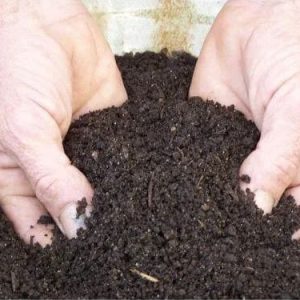 Rhizobium (for legumes)